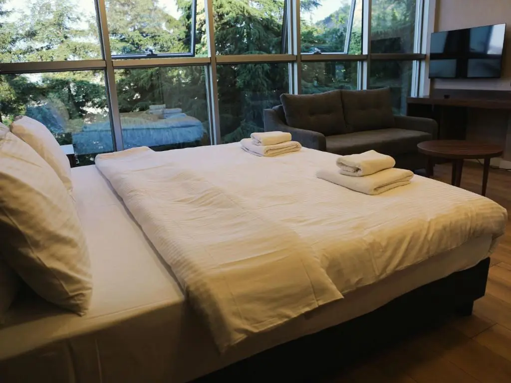 Double Room: close-up of the bed, the glass wall, a sofa and television behind