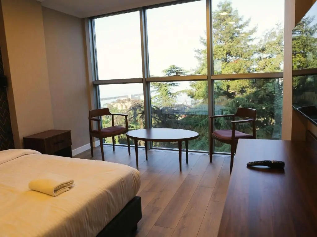Double Room window: pine trees behind the glass wall and the sea on the horizon